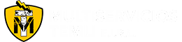 Logo MULTISERVICIOS TEMLI